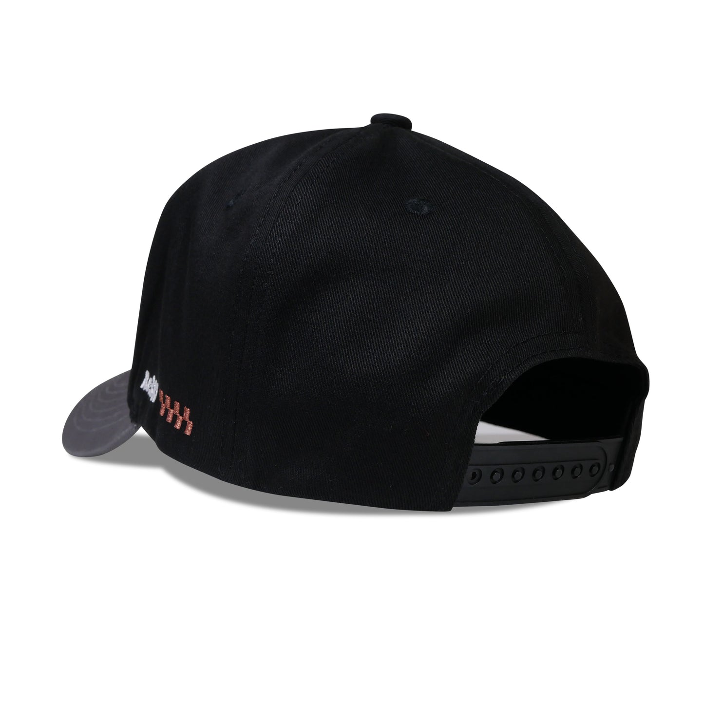 "Turtle Tide" Snapback Hat