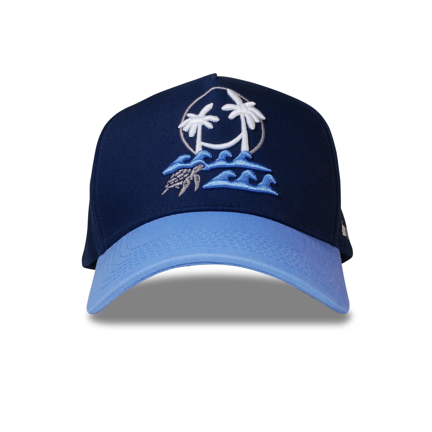 "Turtle Tide" Snapback Hat