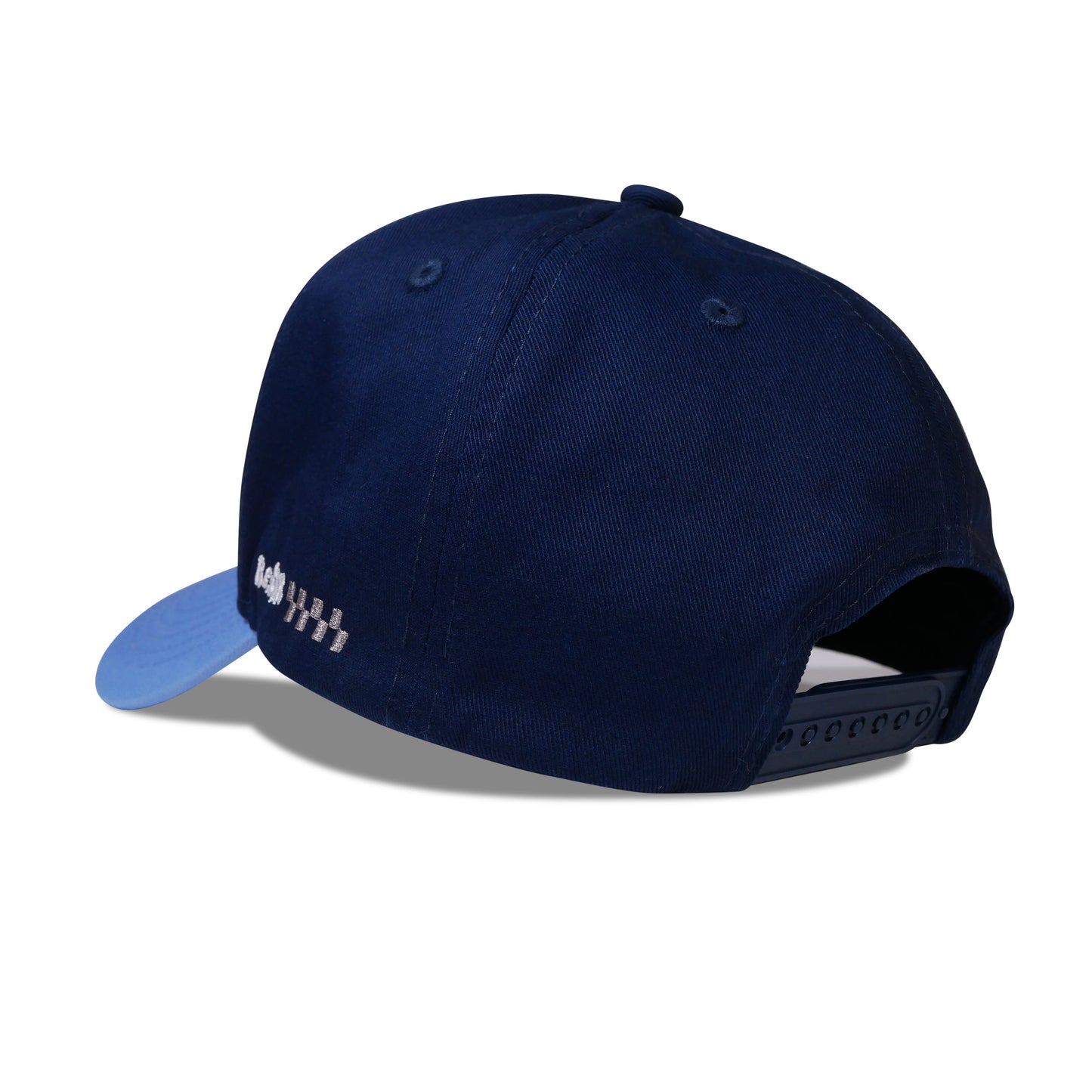 "Turtle Tide" Snapback Hat